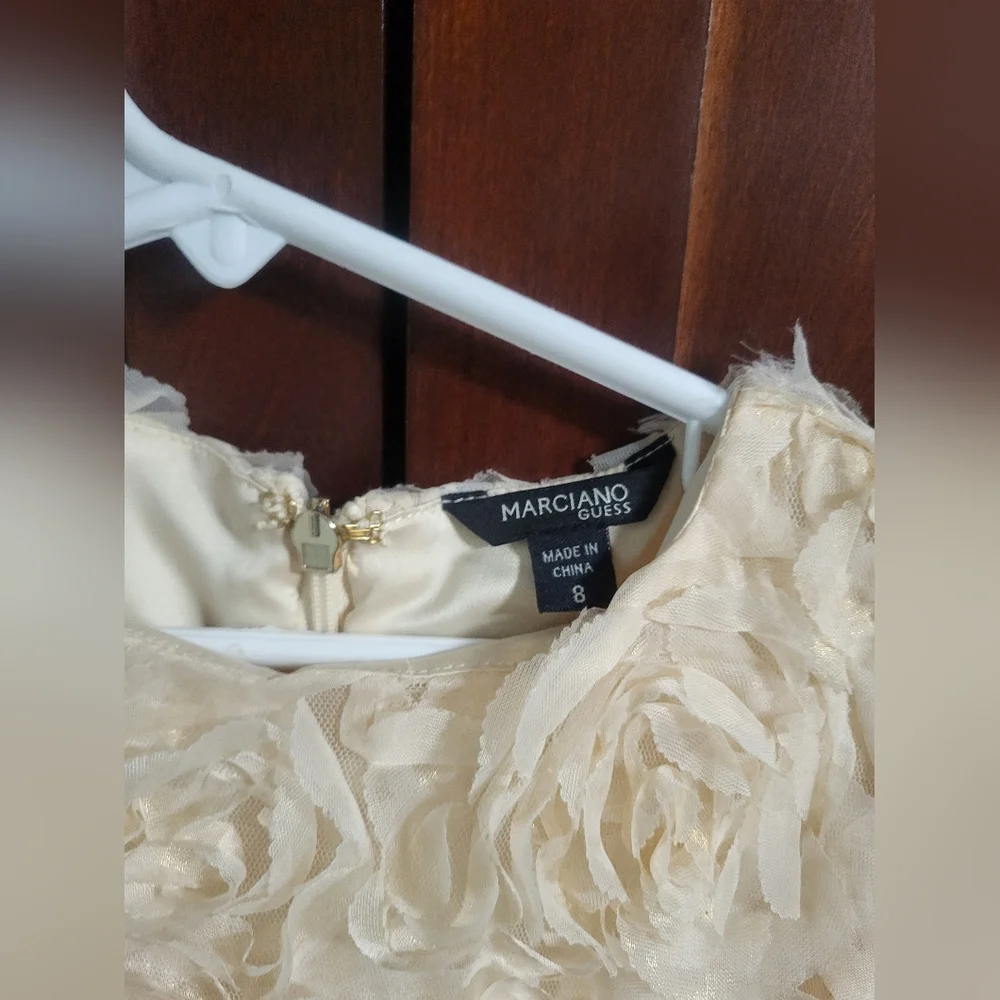 Flower Girl Dress, Roses Gold , PartyDres size 8 - Picture 5 of 14
